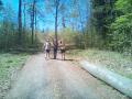 2018-04-21 pout_krtiny_svejk 08